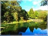 福山植物園 Fushan Botanical Garden